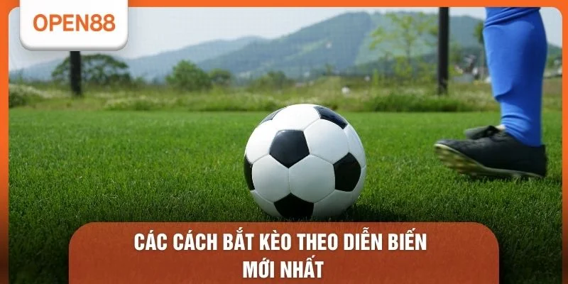 Cách Bắt Kèo Rung Chuẩn - 5 Bí Quyết Sống Còn Trong Hiệp Hai 2 Các cách bắt kèo theo diễn biến mới nhất