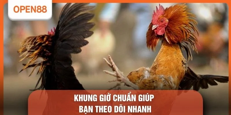 Lịch Đá Gà Thomo Hôm Nay - 03 Địa Chỉ Theo Dõi Chuẩn 2 Khung giờ chuẩn giúp bạn theo dõi nhanh