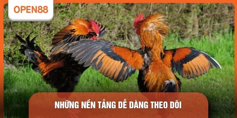 Lịch Đá Gà Thomo Hôm Nay - 03 Địa Chỉ Theo Dõi Chuẩn 3 Những nền tảng dễ dàng theo dõi