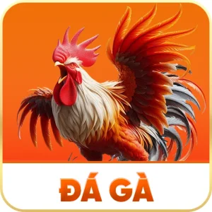 Da Ga 300x300 1